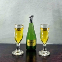 Champagne bottle with 2 glasses