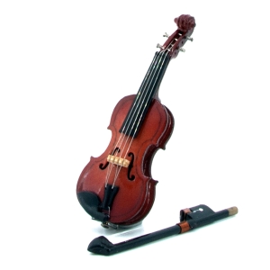 Violin with violin case